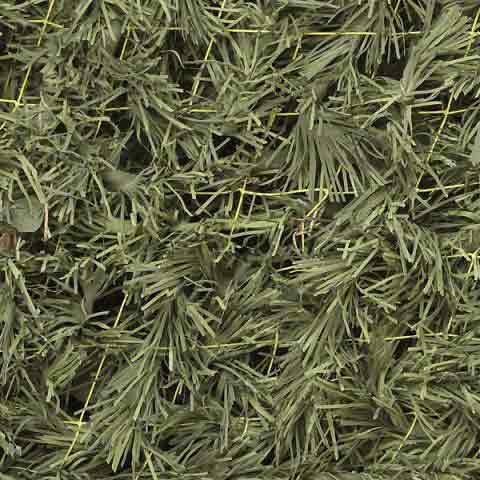 Сеть Папоротник (светло-зеленый) трава (1,5*2 м) (на сетевой основе)