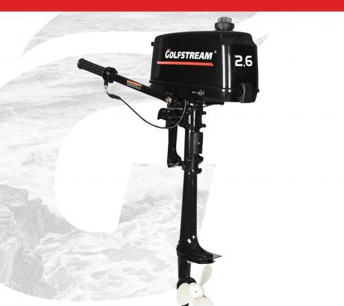 Мотор GOLFSTREAM T 2.6 CBMS №Y06109417