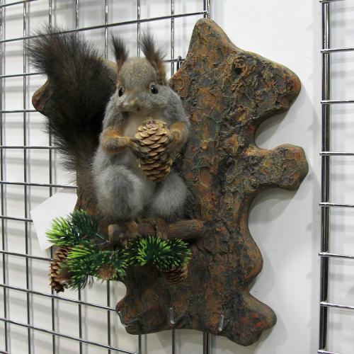 Чучело Белка ключница