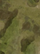 Камо набор Мох