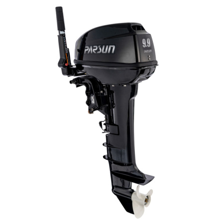 Мотор PARSUN T9.9 BMS №X11079642 Мотор PARSUN T9.9 BMS №X11079642