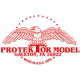 PROTEKTOR MODEL