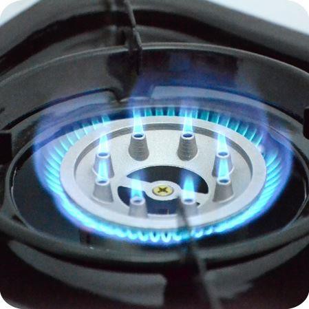 Плита наст. газовая "СЛЕДОПЫТ - MaximuM", двойная (с переходником)