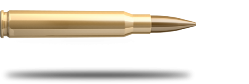 Патрон к.30-06 11,7гр SPRG FMJ об Sellier&Bellot 1уп/20шт