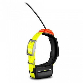 Датчик-ошейник T5 Collar Rus для навигаторов Garmin Astro 320 Rus