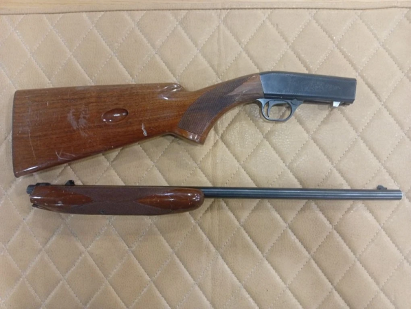 Browning Auto-22R к.22LR № 10428MZ212