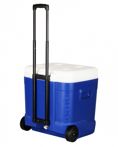Контейнер изотермический плс Igloo Ice Cube 60 Rol