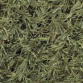 Сеть Папоротник (светло-зеленый) трава (1,5*2 м) (на сетевой основе)