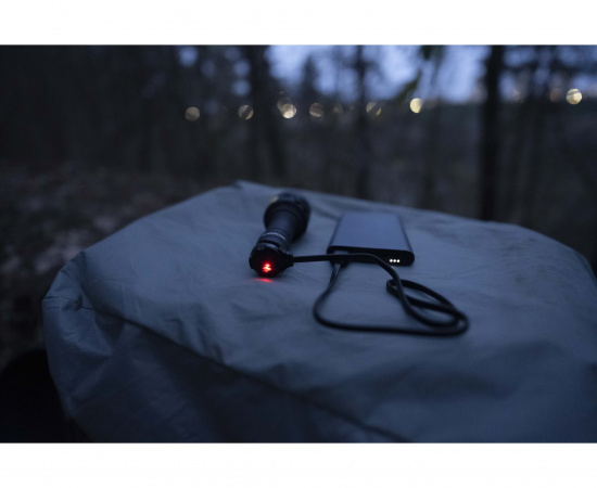 Фонарь Armytek Bear WRG