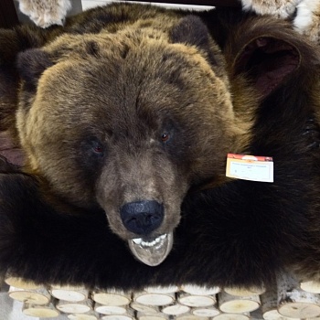 Ковер медвежий с головой №7