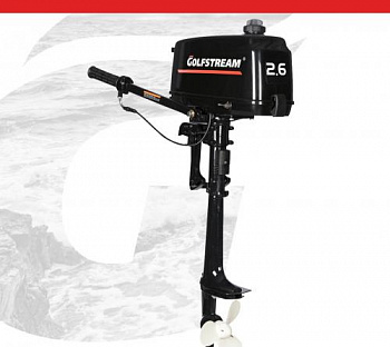 Мотор GOLFSTREAM T 2.6 CBMS №Y06109417