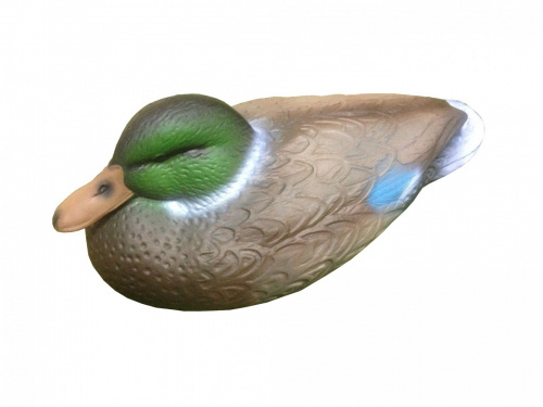 Чучело Кряква селезень отдыхающий