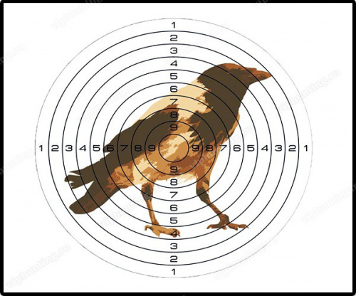 Мишень д/пневматики цветная (рисунок ворона)