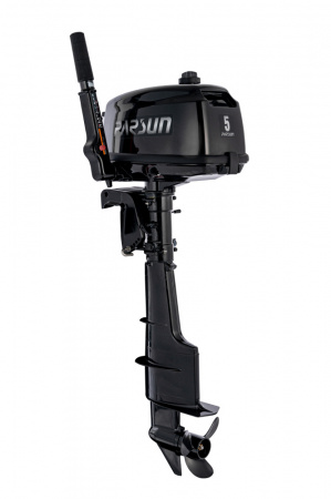 Мотор PARSUN T5 BMS №X09071066