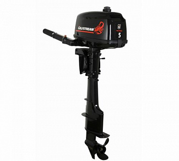 Мотор GOLFSTREAM T5 BMS №W05061707