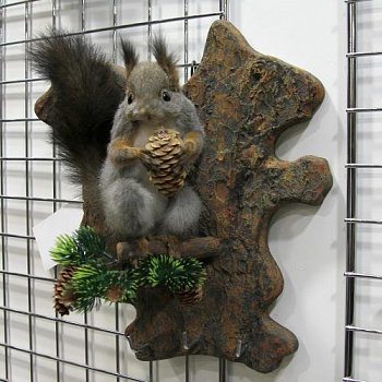 Чучело Белка ключница