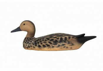 Муляж Шилохвость - Утка (Томск)