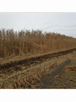 Сеть маскировочная 6х1,47м, цвет пожухлой травы и кукурузы, маскировка Дмитрия Уварова
