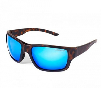 Очки Brenda мод. BS9005 C7 mat demi-blue