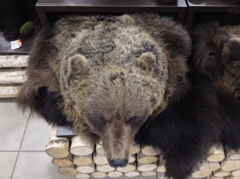 Ковер медвежий с головой №5