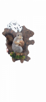 Чучело Белка на подставке "вид белки"