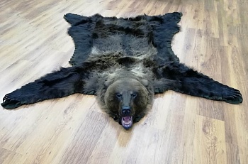 Ковер медвежий с головой №2/1