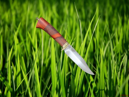 Нож Орел сталь 95Х18 Бубинго со вставкой