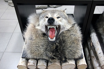 Ковер Волчий  №1