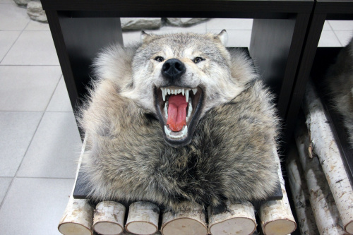 Ковер Волчий  №1