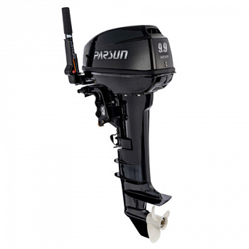 Мотор PARSUN T9.9 BMS №X11079642
