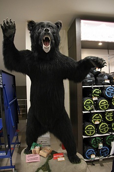 Чучело Медведя большого на камне