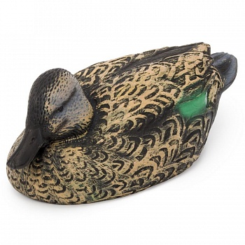 Чучело Чирок утка