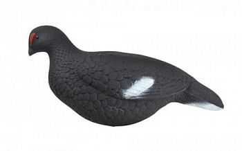 Муляж Тетерев (Томск)