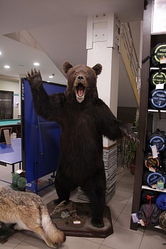 Чучело Медведя в полный рост большой