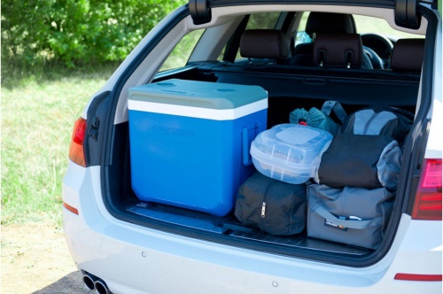 Контейнер изотермический CG Icetime + EXTREME 41L