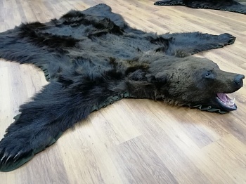 Ковер медвежий с головой №3/1