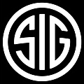 ОРУЖИЕ SIG SAUER
