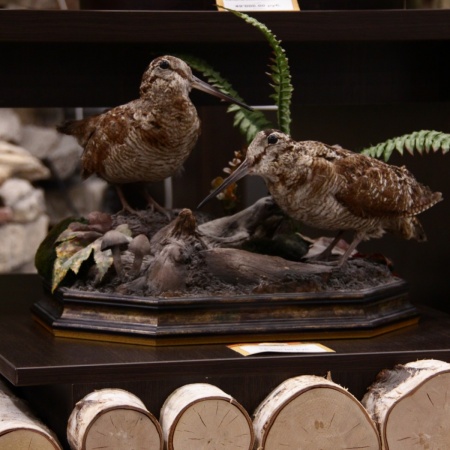 Композиция 2 Вальдшнепа