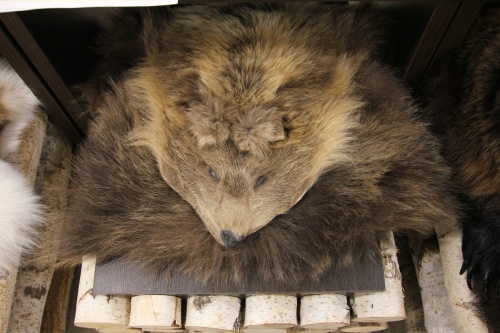 Ковер Медвежий без головы №1