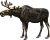 ЛОСЬ