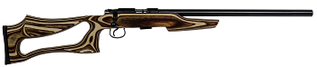 CZ 455 Evolution Varmint GG к.22 LR CZ 455 Evolution Varmint GG к.22 LR