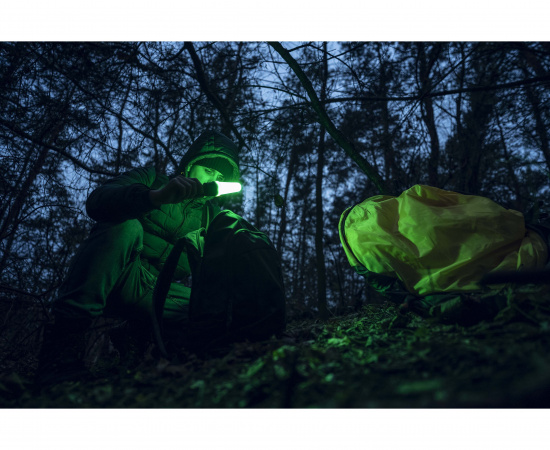 Фонарь Armytek Bear WRG