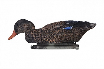 Чучело Кряква утка отдыхающая
