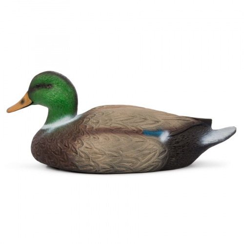 Чучело Кряква селезень