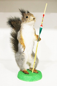 Чучело Белки рыбак