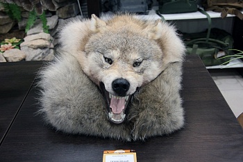 Ковер Волчий  №2