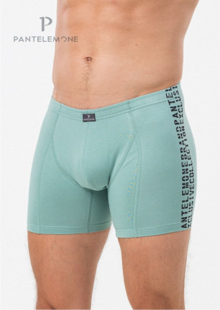 ТРУСЫ ШОРТЫ PMHL-1493 СВ.ЗЕЛЁНЫЙ