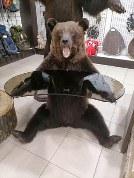 Чучело Медведь сидячий со столом