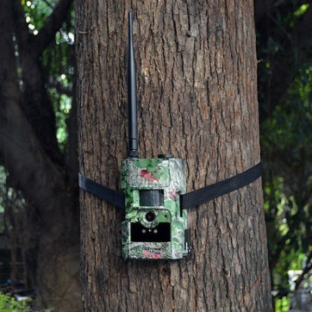 Камера Scout Guard MG883G-14mHD Camo