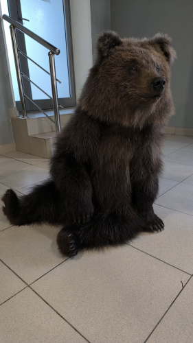 Чучело Медвежонка